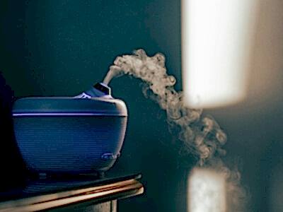 kokunun gücü ofislerde verimliliği artıran gizli etken