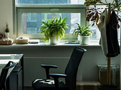 Küçük Ofis Yerleşimi Nasıl Olmalı