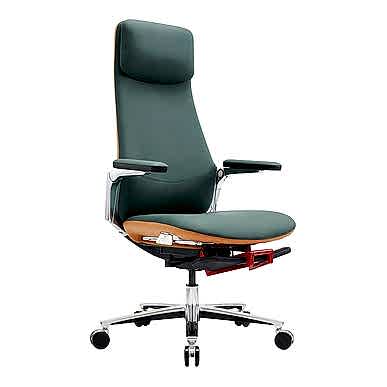 Cayan Kızak Mekanizmalı Yönetici Koltuğu - Makam Koltukları