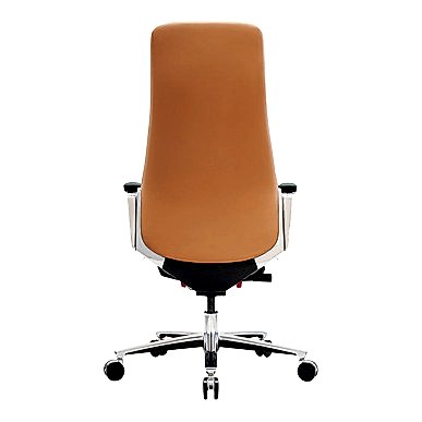 Cayan Kızak Mekanizmalı Yönetici Koltuğu - küçük detay görsel 5 - Makam Koltukları