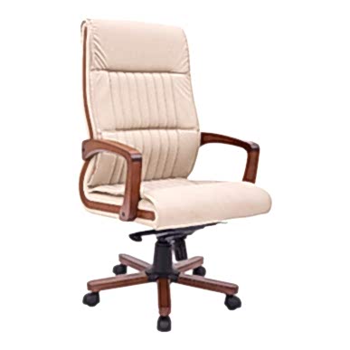 Karia Yönetici Koltuğu - Makam Koltukları