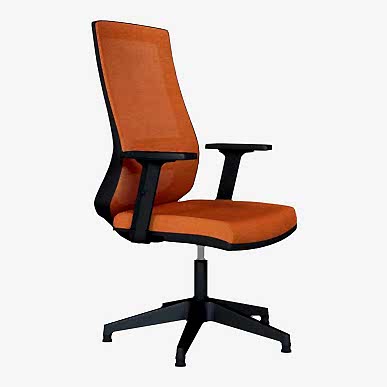 Pordo Ayarlanabilir Kol Yıldız Ayak Misafir Koltuğu - Misafir Koltukları