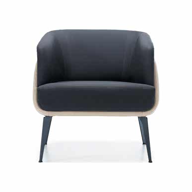 Janerio Deri Döşemeli Metal Profil Ayak Tekli Kanepe - Ofis Kanepeleri