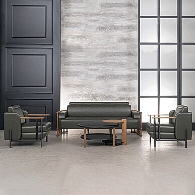 Palencia Deri Döşemeli Kanepe Takımı - Ofis Kanepeleri