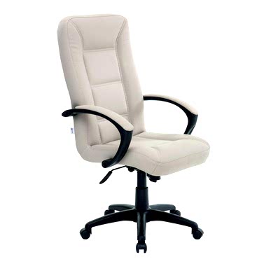 Along Plastik Müdür Koltuğu - Yönetici Koltukları