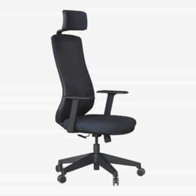 Bronco Sabit Kol Plastik Ayak Fileli Yönetici Koltuğu - Yönetici Koltukları