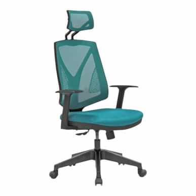 Head Plastik Ayak Sabit Kol Başlıklı Müdür Koltuğu - Yönetici Koltukları