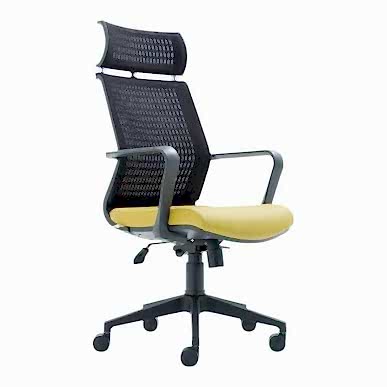 Mirage Plastik Kol Ayak Makam Koltuğu - Yönetici Koltukları