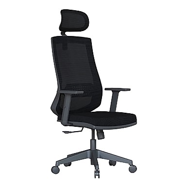 Pordo Ayarlanabilir Kol Yönetici Koltuğu - Yönetici Koltukları