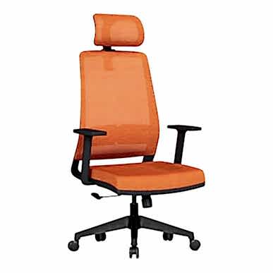 Reny Plastik Ayaklı Yönetici Koltuğu - Yönetici Koltukları