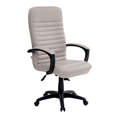 Take Plastik Yönetici Koltuğu - Yönetici Koltukları