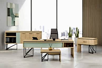 Vesmora Yönetici Ofis Takımı - Yönetici Takımları